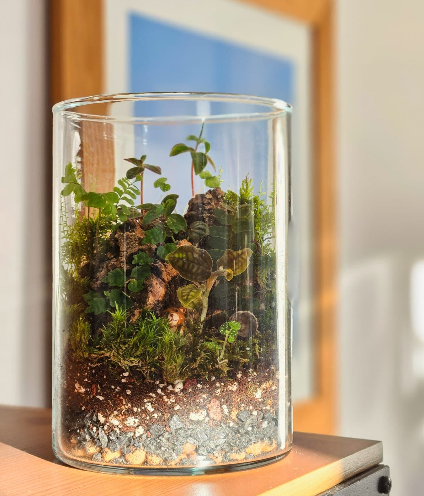 A tall glass cylinder terrarium: a small bear figurine at the mouth of a cork-bark cave, ringed by moss, a fern and small-leaved plants, with a dark jewel orchid in front.